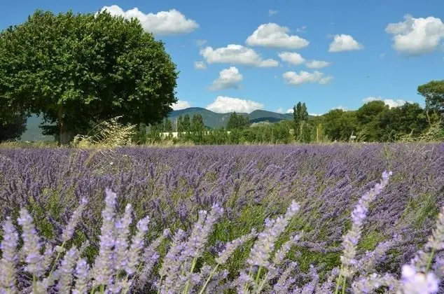 Mas de L'Amme - Dış Mekan