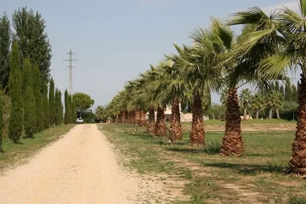 Mas del Joncar - Guest House - Dış Mekan