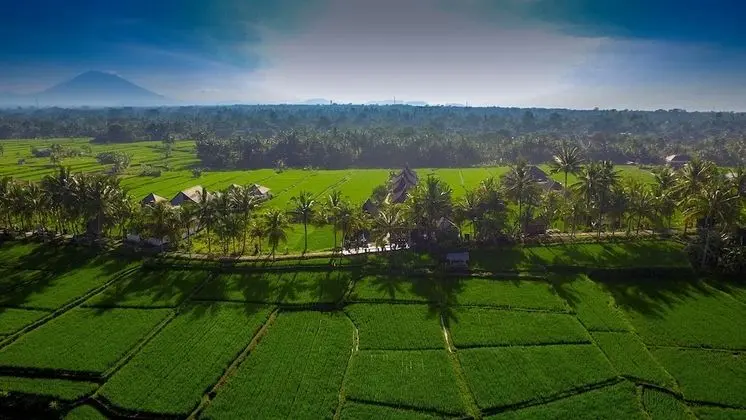 Masia Villa Ubud - Dış Mekan