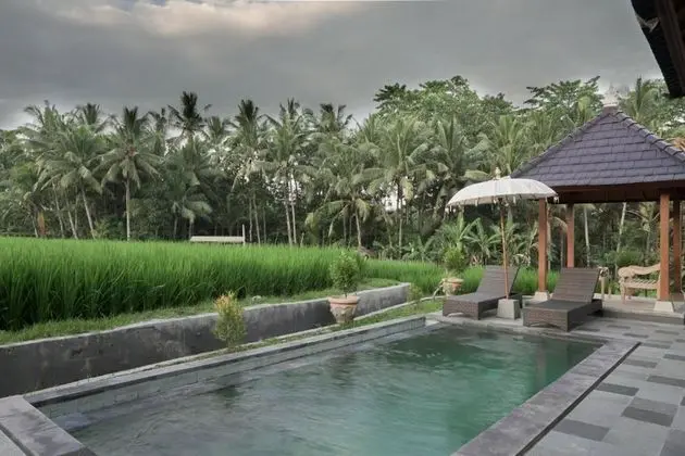 Masia Villa Ubud - Havuz