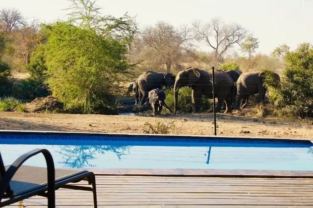Masodini Private Game Lodge