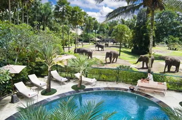 Mason Elephant Park and Lodge Gianyar Bali