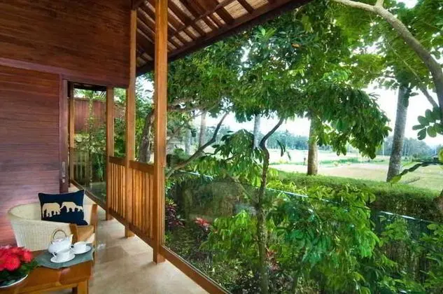 Mason Elephant Park and Lodge Gianyar Bali - Manzara / Peyzaj