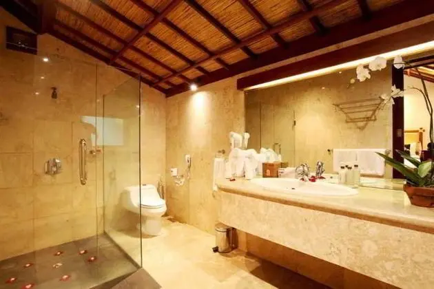 Mason Elephant Park and Lodge Gianyar Bali - Oda