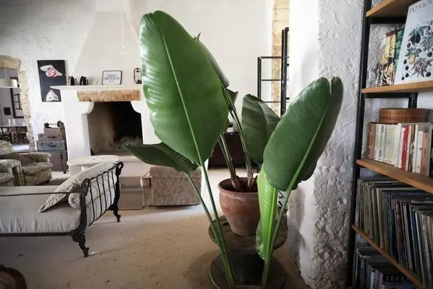 Masseria Caretti Grande