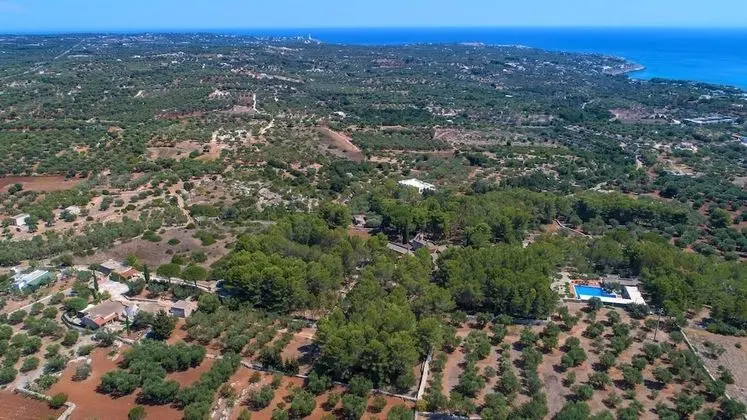 Masseria Colosso - Dış Mekan
