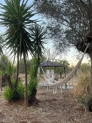 Masseria dell'800 - Dış Mekan