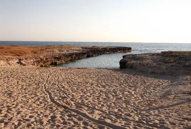 Masseria di Benedetto - Plaj