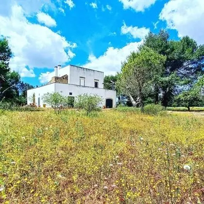 Masseria Fracchicchi - Lobi
