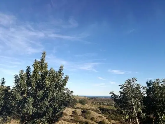 Masseria Gargaleo - Dış Mekan