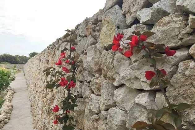 Masseria Gelsi - Dış Mekan