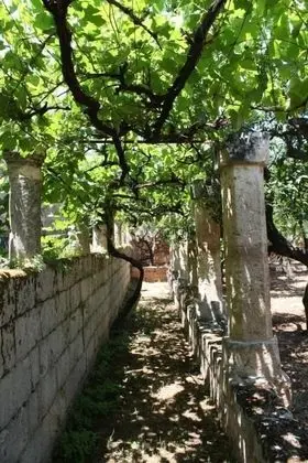 Masseria Maccarone - Dış Mekan