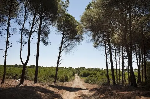 Masseria Macchia & Relais San Pio - Dış Mekan