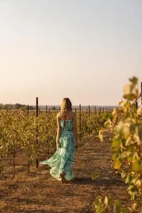 Masseria Malvindi - Genel