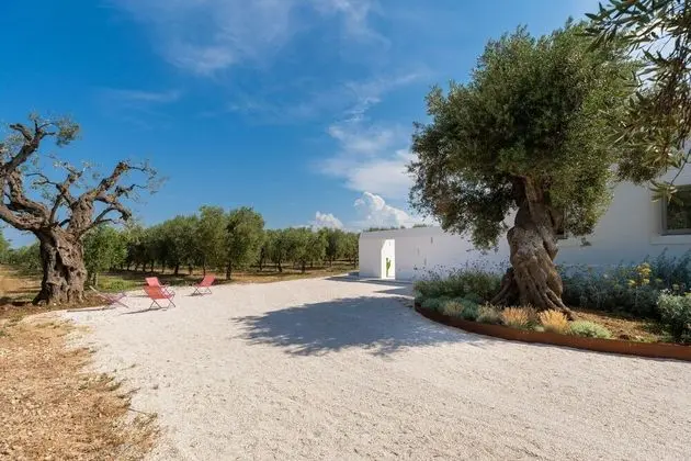 Masseria Pensato SUITE CARRUBO - Dış Mekan