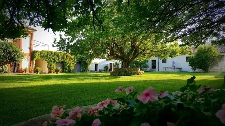 Masseria Rossella - Öne Çıkan Resim