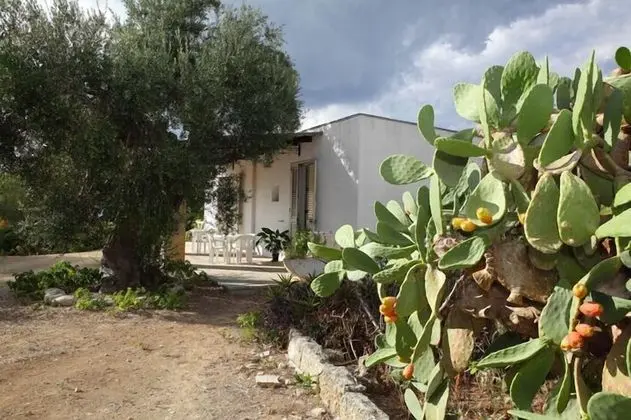 Masseria San Nicola - Dış Mekan
