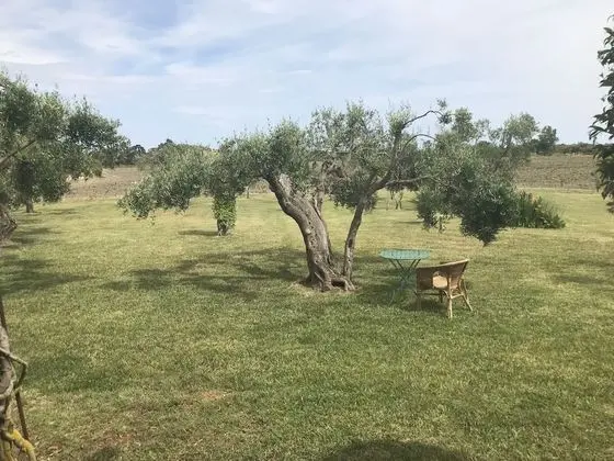 Masseria Scannaturco - Dış Mekan