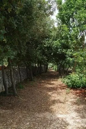 Masseria Trotta - Dış Mekan