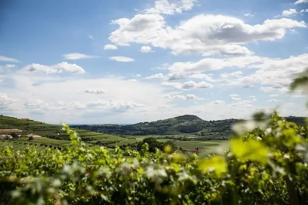 Massimago Wine Relais - Dış Mekan