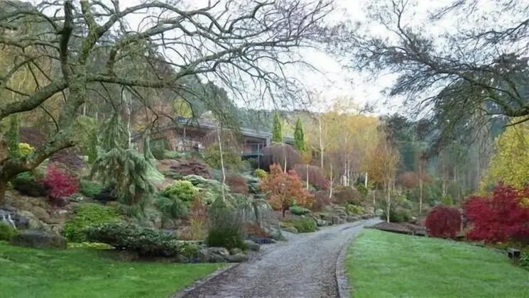 Mast Gully Gardens Bed & Breakfast