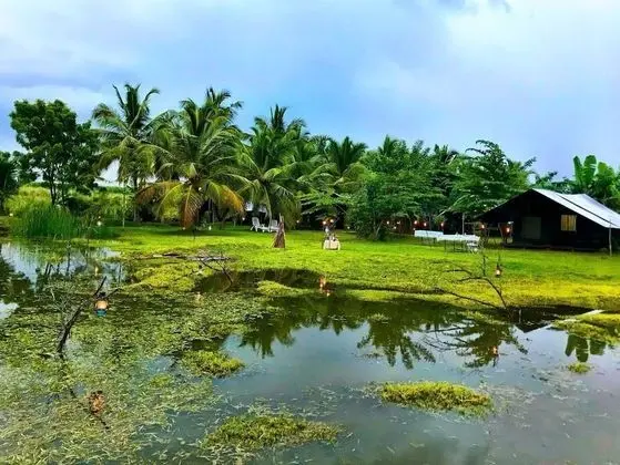 Master Campers Lanka