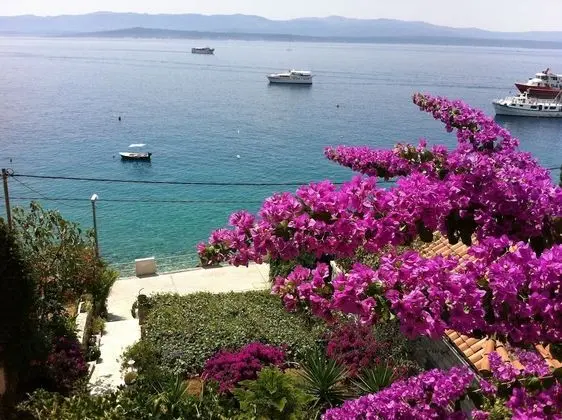 Matea - 20m From the sea - A2 - Dış Mekan