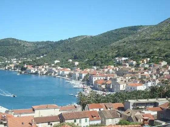 Mato - Free Barbecue - SA3