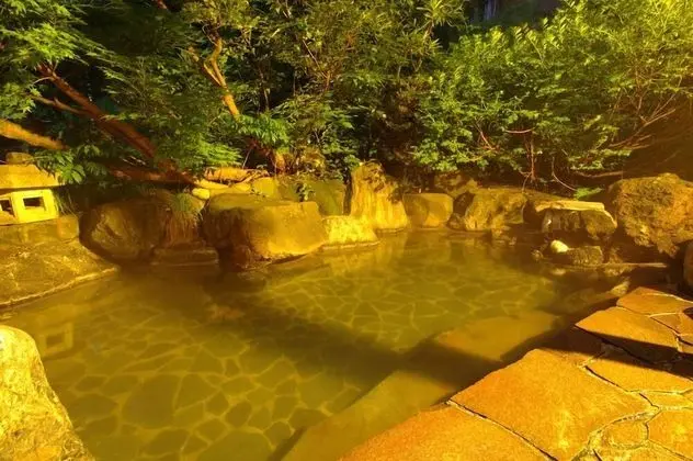 Matsunoyama Onsen Izumiya - Ryokan Tesisleri