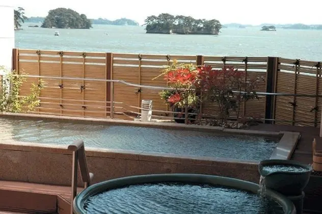 Matsushima Century Hotel - Havuz