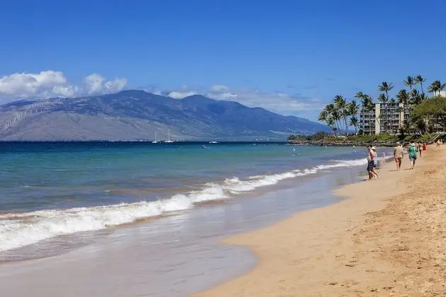 Maui Banyan Basic by AEI - Plaj