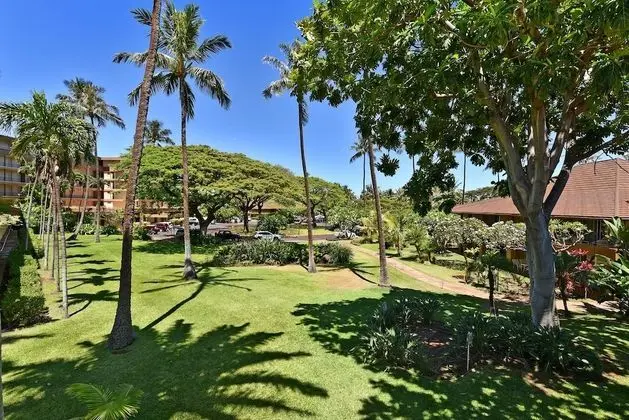 Maui Kaanapali S #b247 Studio Bedroom Condo by Redawning - Dış Mekan