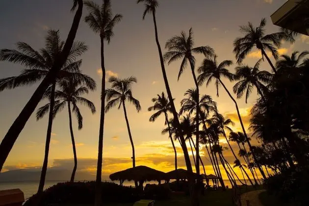 Maui Ocean Front- Hyatt Residence Kaanapali Beach - Plaj