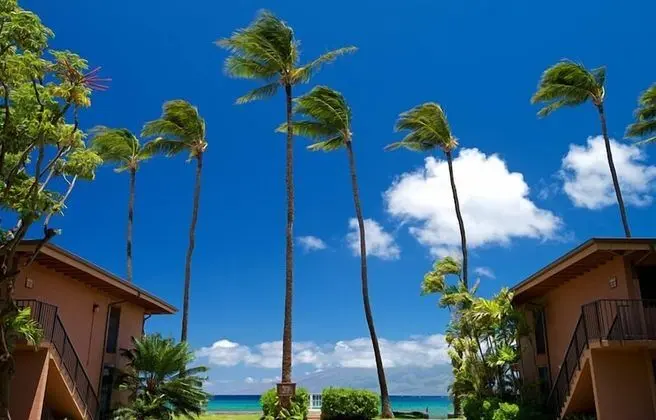Maui Sands #5g 2 Bedroom Condo by RedAwning - Yerinde Yemek