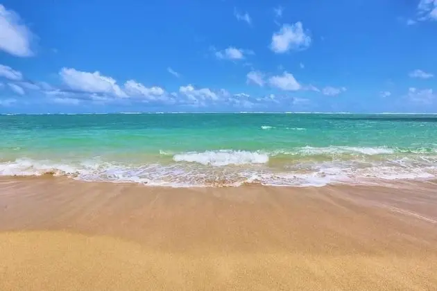 Maui Vista