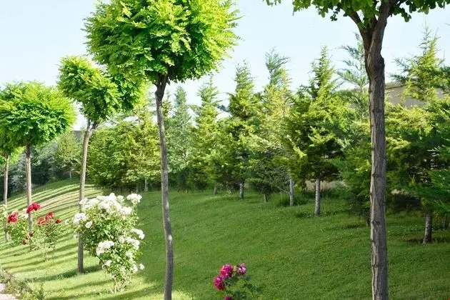 Mavi Ege Termal Otel - Genel