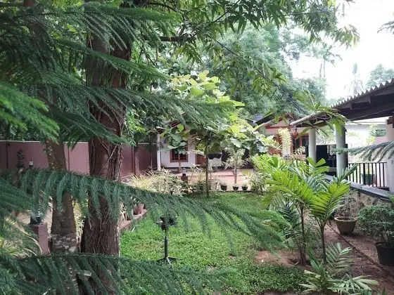 Max Safari Villa