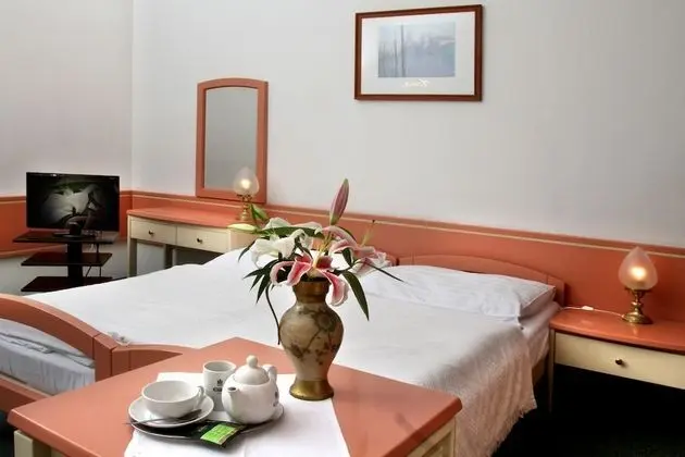 Hotel Maxim - Oda