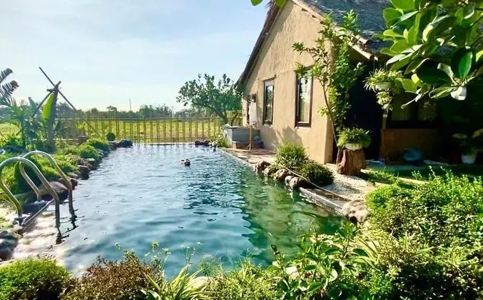 May Homestay Ninh Binh - Havuz