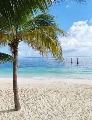 Hotel Maya Caribe Faranda - Öne Çıkan Resim