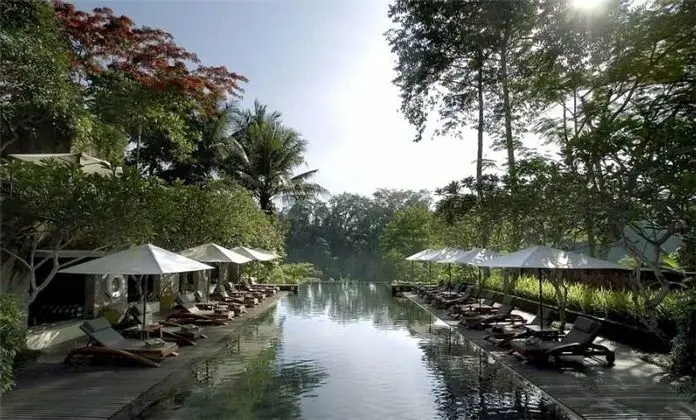 Maya Ubud Resort & Spa - Havuz