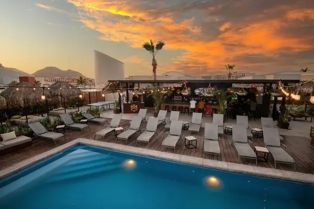 Mayan Monkey Los Cabos
