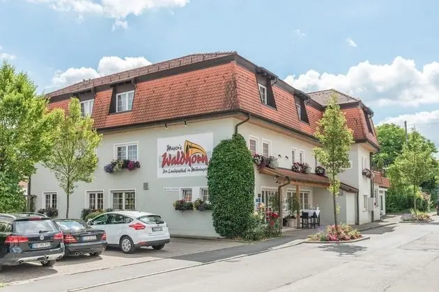 Mayers Waldhorn Hotel - 1