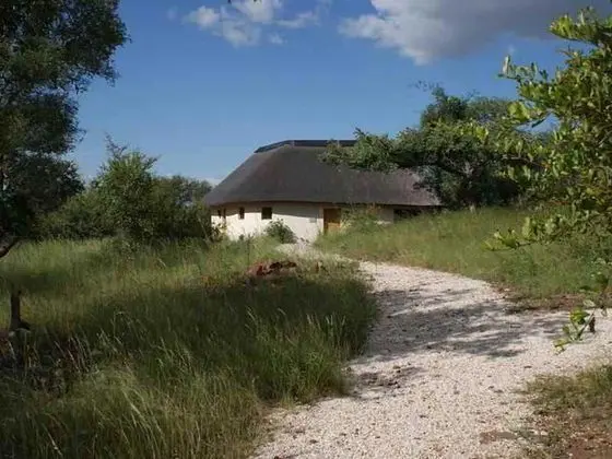 Mbizi Bush Lodge - Genel