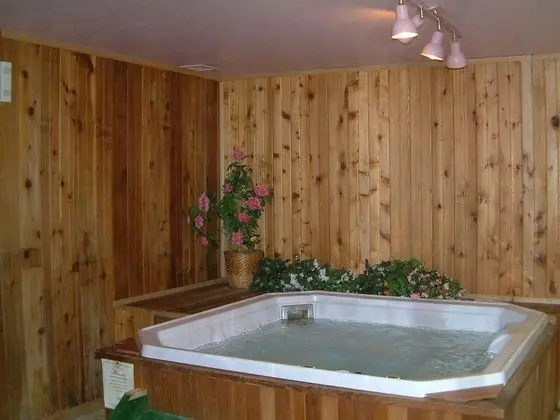 McIntosh Country Inn & Conference Centre in Canada - Spa