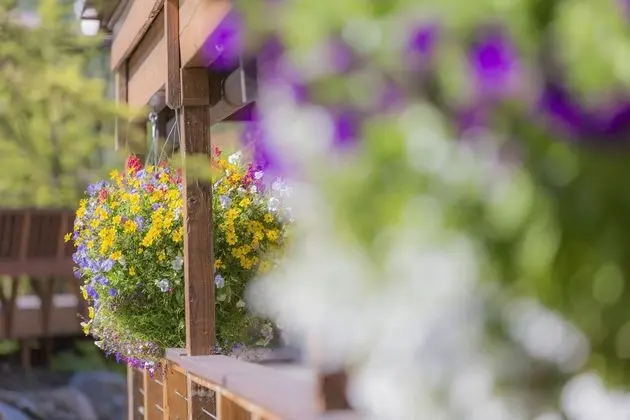 McKinley Chalet Resort - Dış Mekan