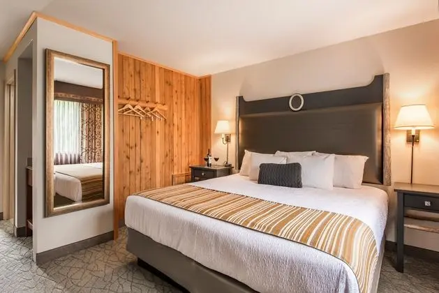 McKinley Chalet Resort - Oda