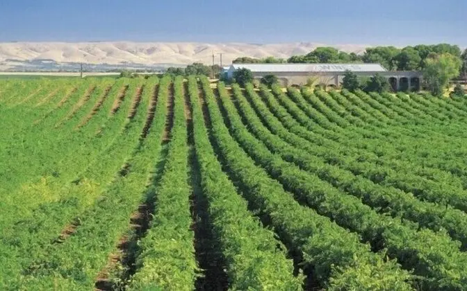 McLaren Vale Backpackers - Dış Mekan