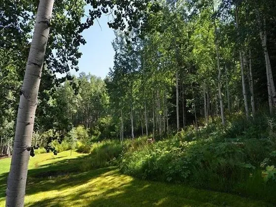 Meadow Brook Chalet - Dış Mekan