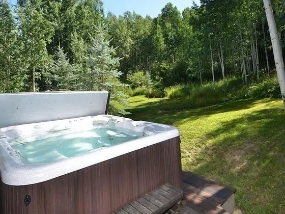 Meadow Brook Chalet - Havuz